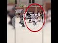 Couple Reportedly Abducted from Kutchery Chowk Multan After Court Appearance | News Update | Rohi