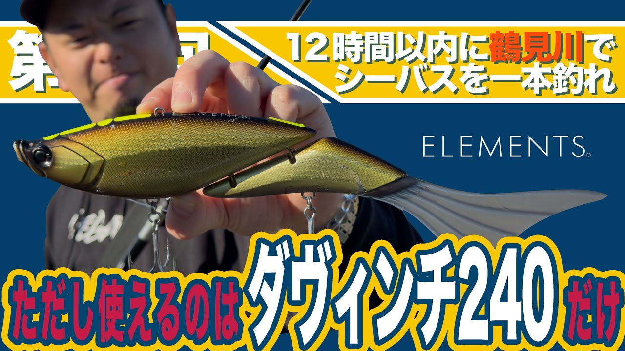 【第二回】デイゲームの12時間以内に鶴見川でダヴィンチ240だけでシーバスを釣れ！