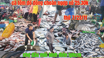 thứ7 cá tôm đổ đống choán ngợp xổ rẻ bất ngờ chợ đầu mối bình điền