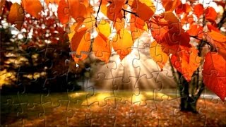 Beautiful Autumn Landscape Puzzle Game Jigsaw Rompecabeza screenshot 3