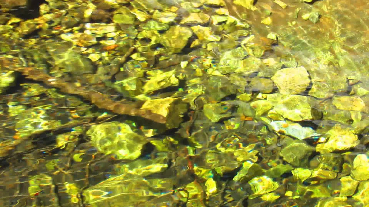 Geology & Wild Trout of the Cucamonga Wilderness