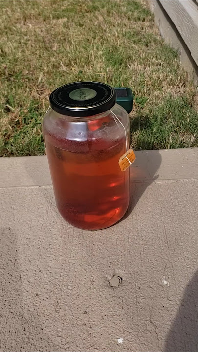 DELICIOUS Sun Tea 😋🌞  #endofsummer #suntea #delicious