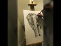 The Big 5- working on The Elephant, graphite drawing