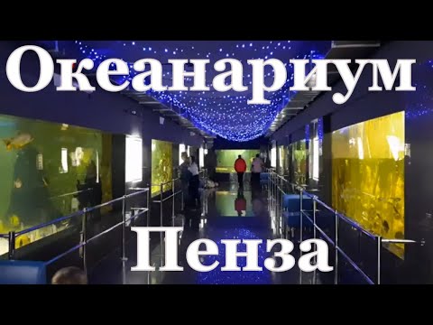 Пензенский океанариум. Куда сходить с детьми в Пензе?