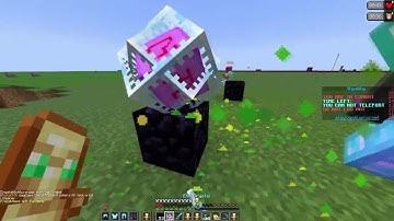 Shit Tage Faibl3 X BOBPVP