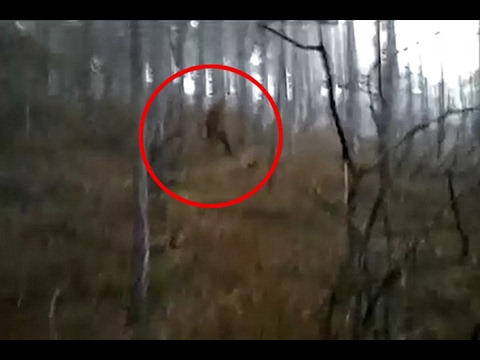 Big Foot or big hoax? Terrified hiker cowers in fear as he films strange Yeti-like creature in woods