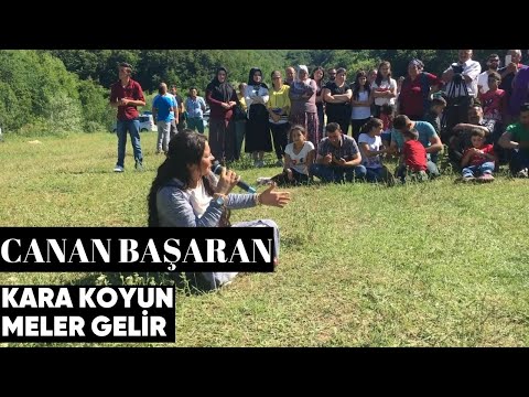 Canan Başaran - Kara Koyun Meler Gelir (Canlı Performans)