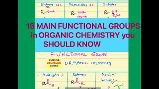 16 Main Functional Groups You need to Know in Organic Chemistry