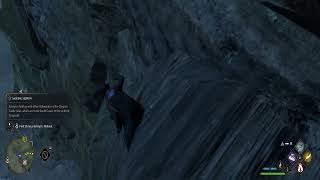 Hogwarts Legacy - Cliff Jumping 2