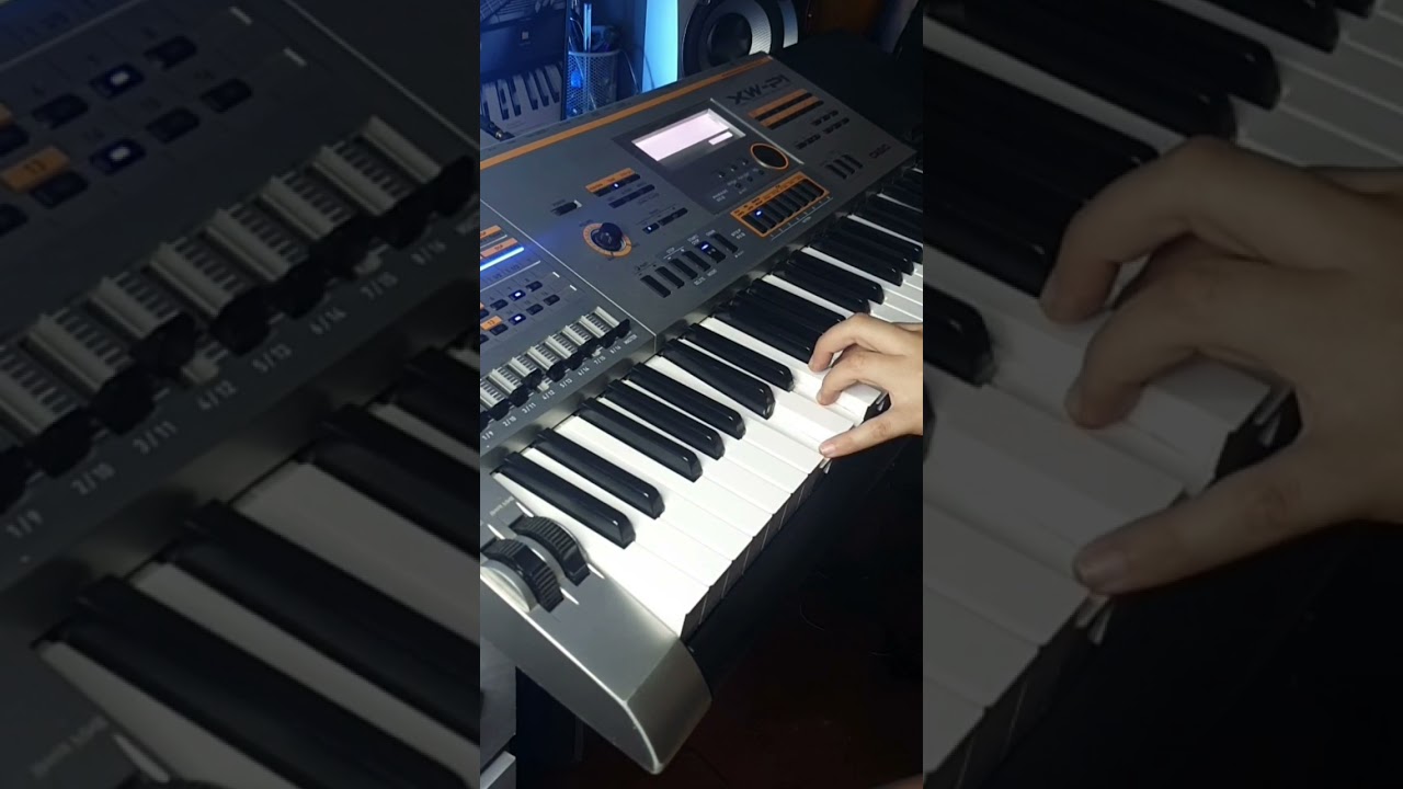 CASIO XW-P1（フェーダーノブ入替版） CASIO XW-P1（フェーダーノブ入替版） CASIO XW-P1（フェーダー