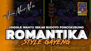 DJ BANTENGAN ‼️