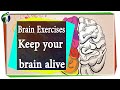 Brain Exercises: Keep your brain alive Urdu Hindi  Video 220