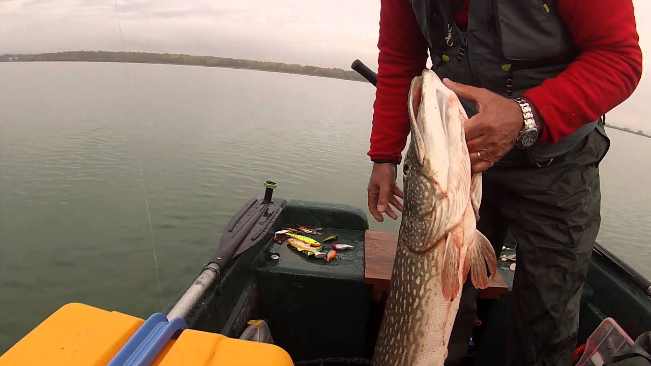 Très gros Brochet fait au lac de la Madine , Jean Claude YouTube