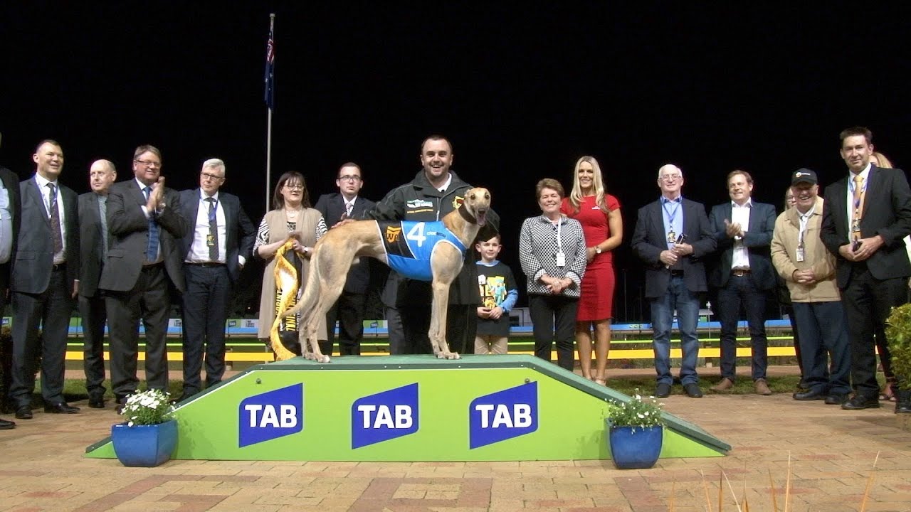 racing fever motor apk 2018 Group 1 Crocmedia Nationals Sprint Championship