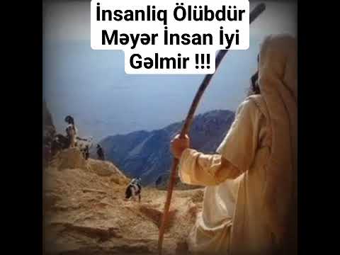 İnsanliq ölüb #islam #hacisahin #shortvideo #trending #hicab #status #shortsvideo #shorts