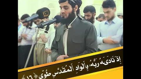 آلشـيخ رعد آلكردي💓 حالات واتس اب 💓 سورة النازعات 💓