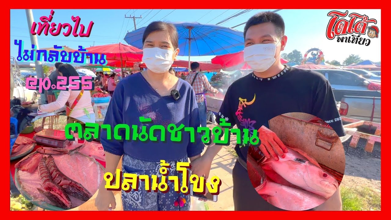 ตลาดนัด ปลาน้ำโขง จากชาวบ้าน อ สังคม หนองคาย เที่ยวไปไม่กลับบ้าน ep.255