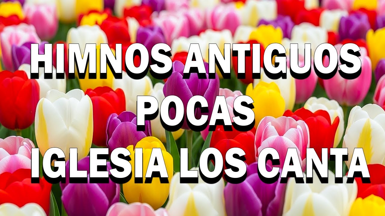 Estos Himnos Tienen El Poder De Sanar ❤️ La Colección Olvidada Que Trae Paz Instantánea