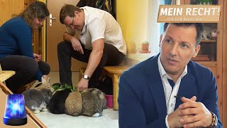 'After the deposit, NOTHING happened' 🤐 Was the couple scammed? | My right! I won't give up | ATV
