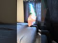 рџ Јрџ ЈШ Щ ШЄ ЩЃШ Щ ЩЃШ Щ Funny Ш Щ ШЇШ Ш ШЄШ ЫЊЩ Comedy Trending рџ Јрџ ЈШ Щ ШЄ ЩЃШ Щ ЩЃШ Щ Funny Ш Щ ШЇШ Ш ШЄШ ЫЊЩ Comedy Trending