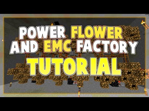 Video: DIY Craft: Power Flower!