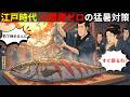 【江戸時代の真実】冷蔵庫ゼロの猛暑で生魚はなぜ腐らなかったのか？100万人都市を支えた驚異の保存術【歴史解説】