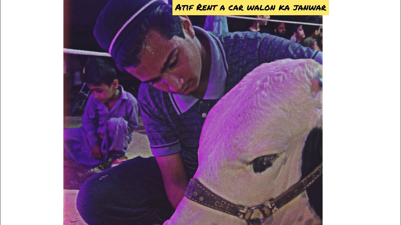 AAJ HUM GAYE ATIF RENT A CAR WALON ke JANWAR DEKhNE ️ - YouTube