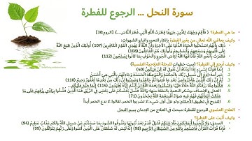 💦 16- خلاصة سورة النحل: شاكرا لأنعمه اجتباه وهداه إلى صراط مستقيم ١٢١