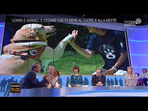 Video: La Sofferenza è Uguale Al Dolore Per Gli Animali – Gli Animali Soffrono?