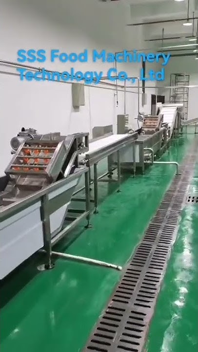 Dried fruit production line - YouTube