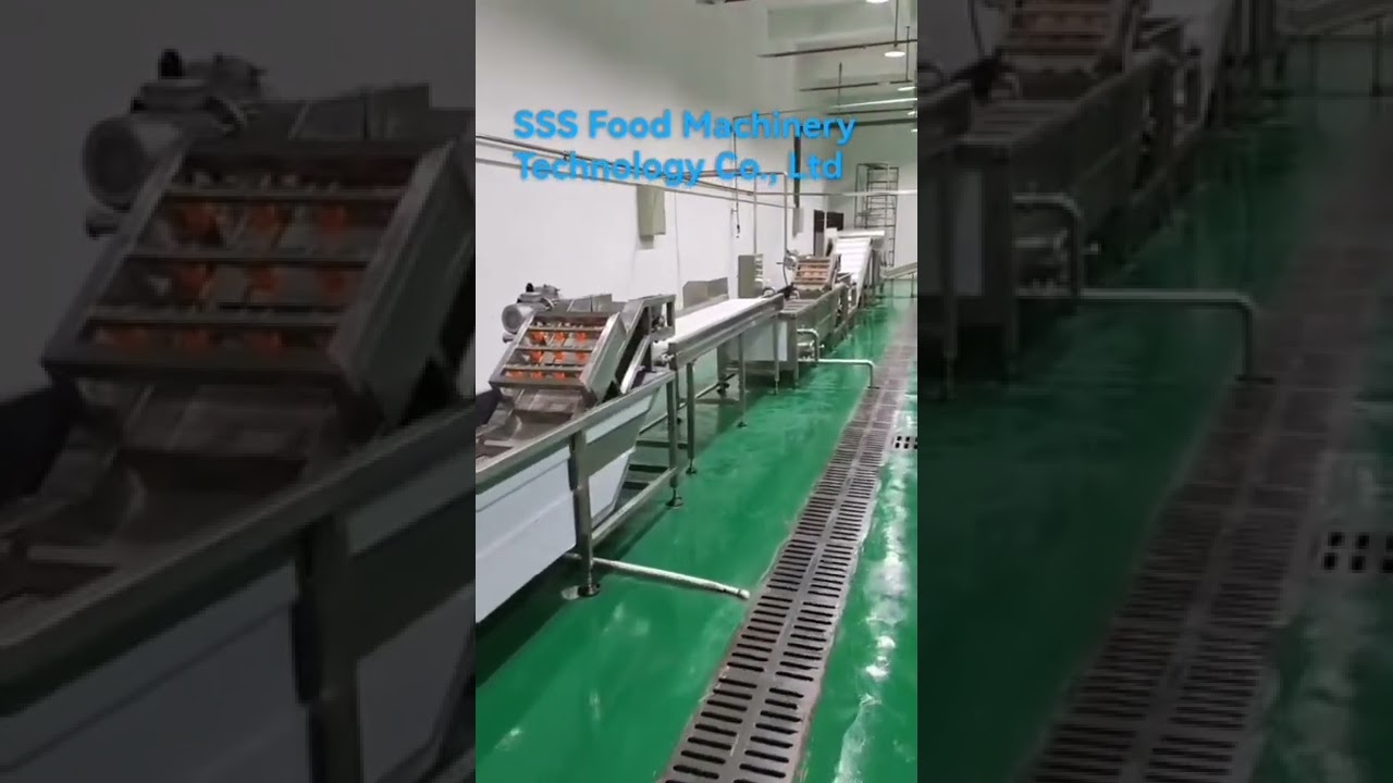 Dried fruit production line