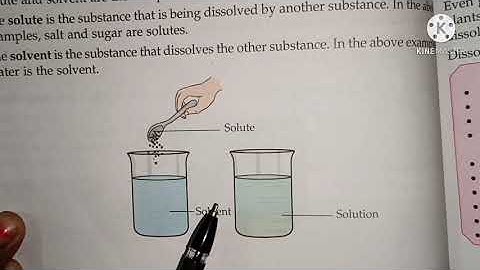 Class 4 Science chapter-8 Solids liquids and gases (part- 3)