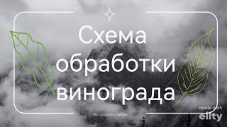 схема обработки винограда