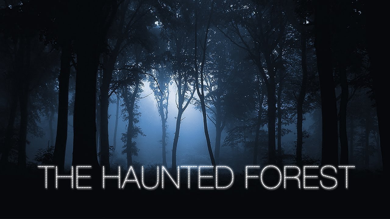 Haunted Forest Promo Code: Save 20% on Tickets - wide 9