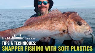 Snapper on Soft Plastics with Daniel Hutchinson screenshot 5