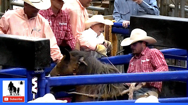 Bronc Riding - 2021 Coors Cowboy Club Ranch Rodeo ...