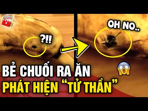 Video Bẻ chuối định ăn, thanh niên bất ngờ phát hiện 'SINH... - youtube