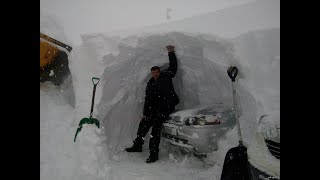 Казахстан и Киргизстан замело снегом. Метель в Казахстане. Снегопад. Снежный плен. 2023 год.