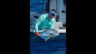 CATCHING OFFSHORE PERMIT USING ACTIVE TARGET - Like A Video Game!   - Feat. Capt Brandon Simmons Net Worth
