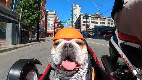 GoPro 9 & Max Lens Mod | Short video