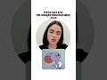 Прогноз ЕГЭ по обществознанию 2026 | #знания #настямалова #общество #прогноз #егэ
