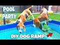 🌟💦Pool Party💦🌟 with a DIY DOG POOL RAMP and ✨UNICORN✨ | Louie The Beagle