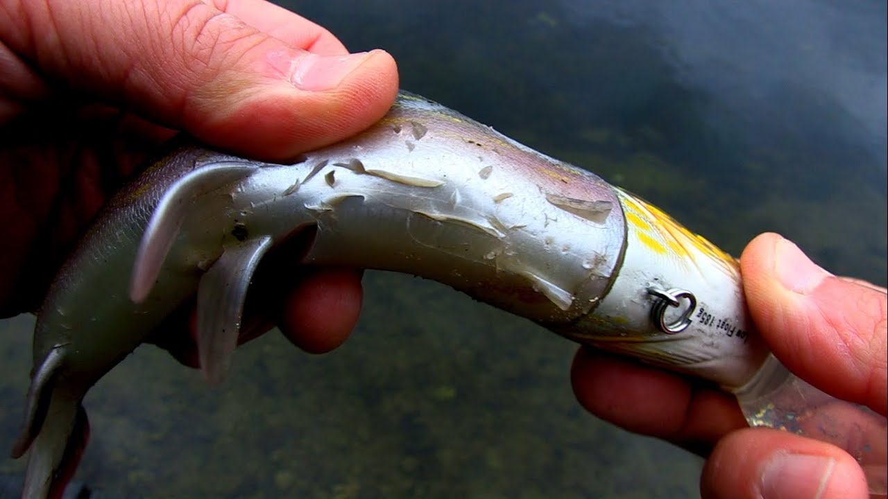 Lure bait for pike perch by own hands Lure bait for pike perch by own hands