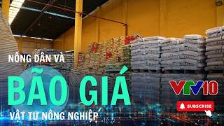Giá Phân Bón Tăng Sốc, Nông Dân Miền Tây Tính Bỏ Vụ. Vtv10 - Đài Truyền Hình Việt Nam