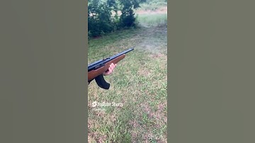 Ruger 10/22 binary trigger