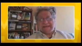 Ep 1. Danny Schechter Unspins Israel's Assault on Gaza | Imaginary Lines
