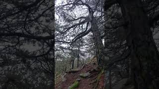 20260329 232012 446