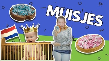 WAAROM ETEN WE BESCHUIT MET MUISJES ALS ER EEN BABY WORDT GEBOREN? // Willem Wever // #46