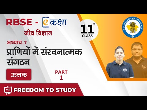 RBSE | Class-11 | Biology | जीव विज्ञान | प्राणियों में संरचनात्मक संगठन | ऊत्तक