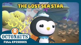 atoctonauts lost sea star season 1 full episode cartoons